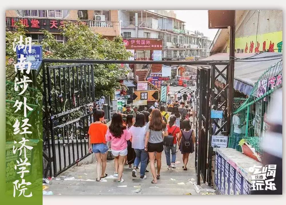 母校我想你,想你母校