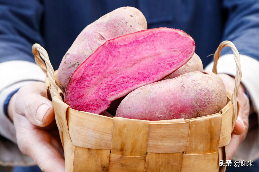 全职妈妈开网店卖什么比较好,全职宝妈开网店适合卖什么