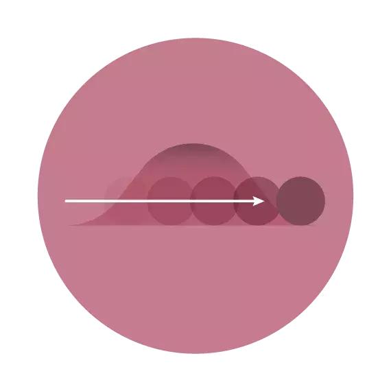 量子力学对生物的影响,可怕的量子生物学