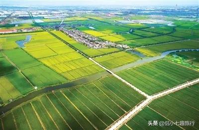 生态农业与生态农业发展的区别,生态农业发展与生态农业科技