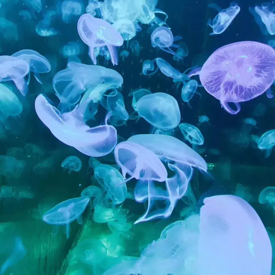 北京南锣鼓巷东一公里打卡地,北京南锣鼓巷旅游攻略必玩的景点