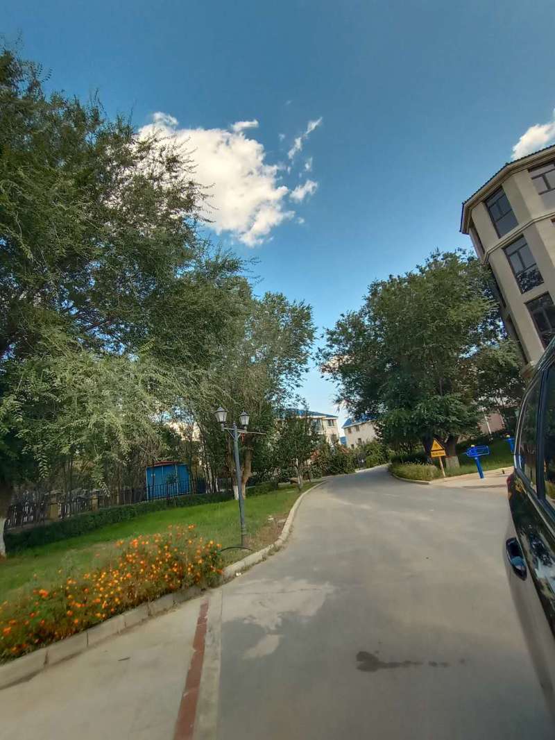 绿地城二期绿化乌鲁木齐,乌鲁木齐中海万锦公馆绿化环境