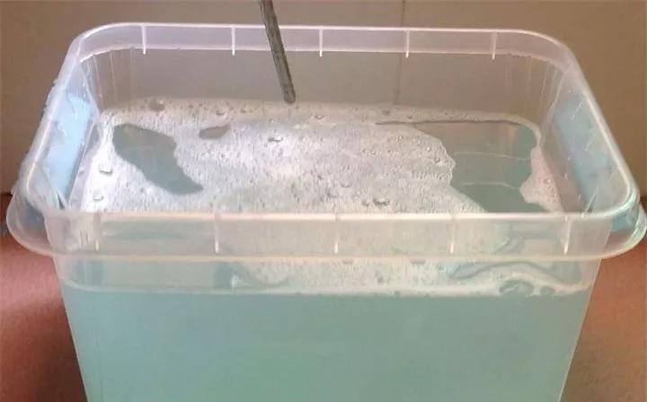 养花的虫害分类及防治,养花如何预防虫害视频教程