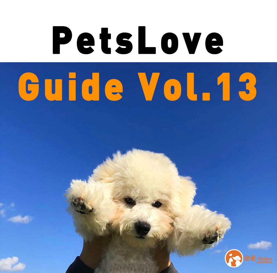 养狗新手入门必知推荐,想养只狗不知道该怎么养