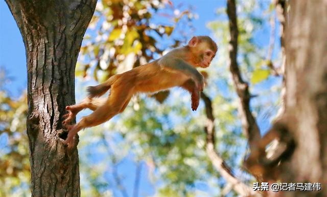 信阳南湾湖旅游攻略怎么玩,去看更大的世界熊耳山美景