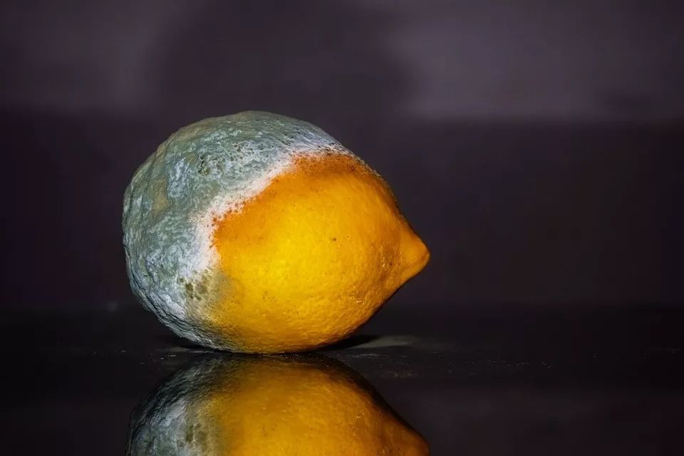 亲戚都喜欢吃的饭菜,一家人吃了发霉的食品