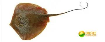 舟山海鲜攻略2天1晚住宿自由行,舟山最好的海鲜