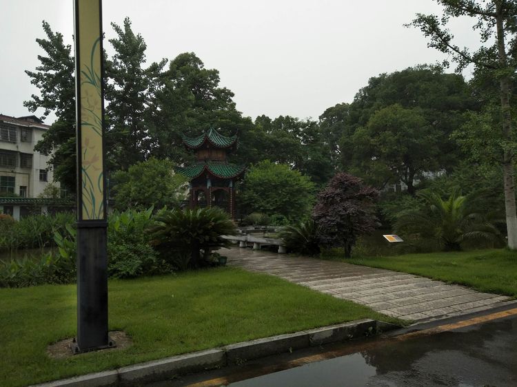 湖南常德市二中新闻,常德市二中高一