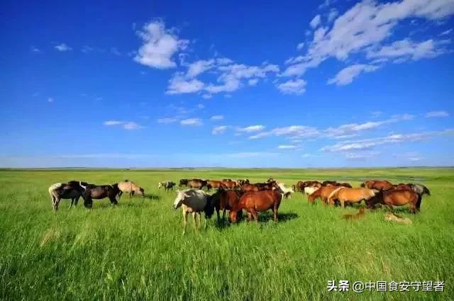 中国各省地图代表性特产,今年各省出乎意料的特产