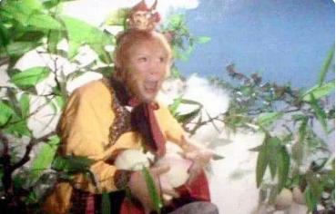 西游记为什么孙悟空吃桃只吃一口,西游记孙悟空为什么偷吃蟠桃