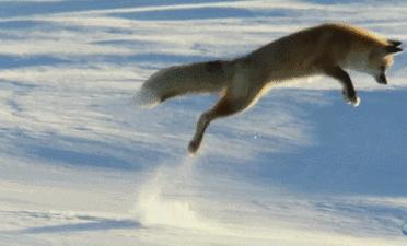 门店合伙人模式的6种方法,合伙人开公司如何退出
