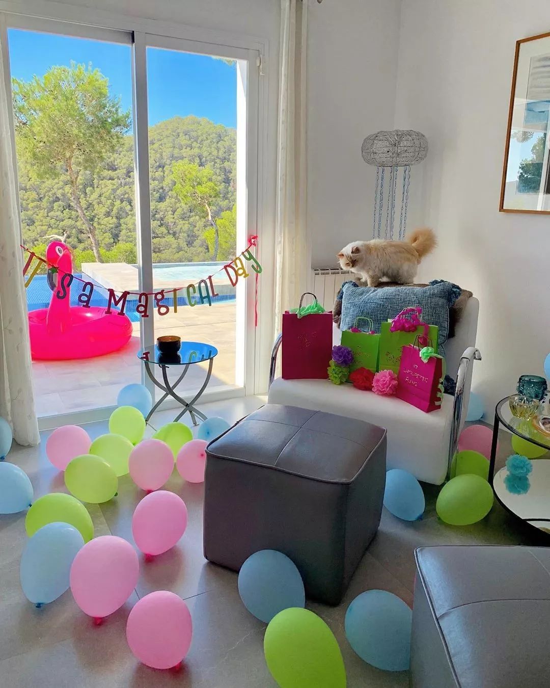 21亿遗产的猫现在怎么样了,失踪多年的猫终于回来了