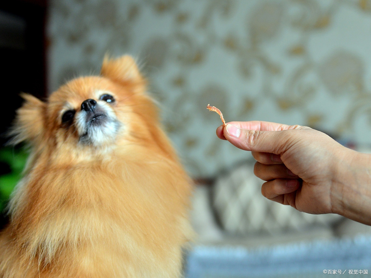 戒掉手机依赖症,戒掉依赖最好方法
