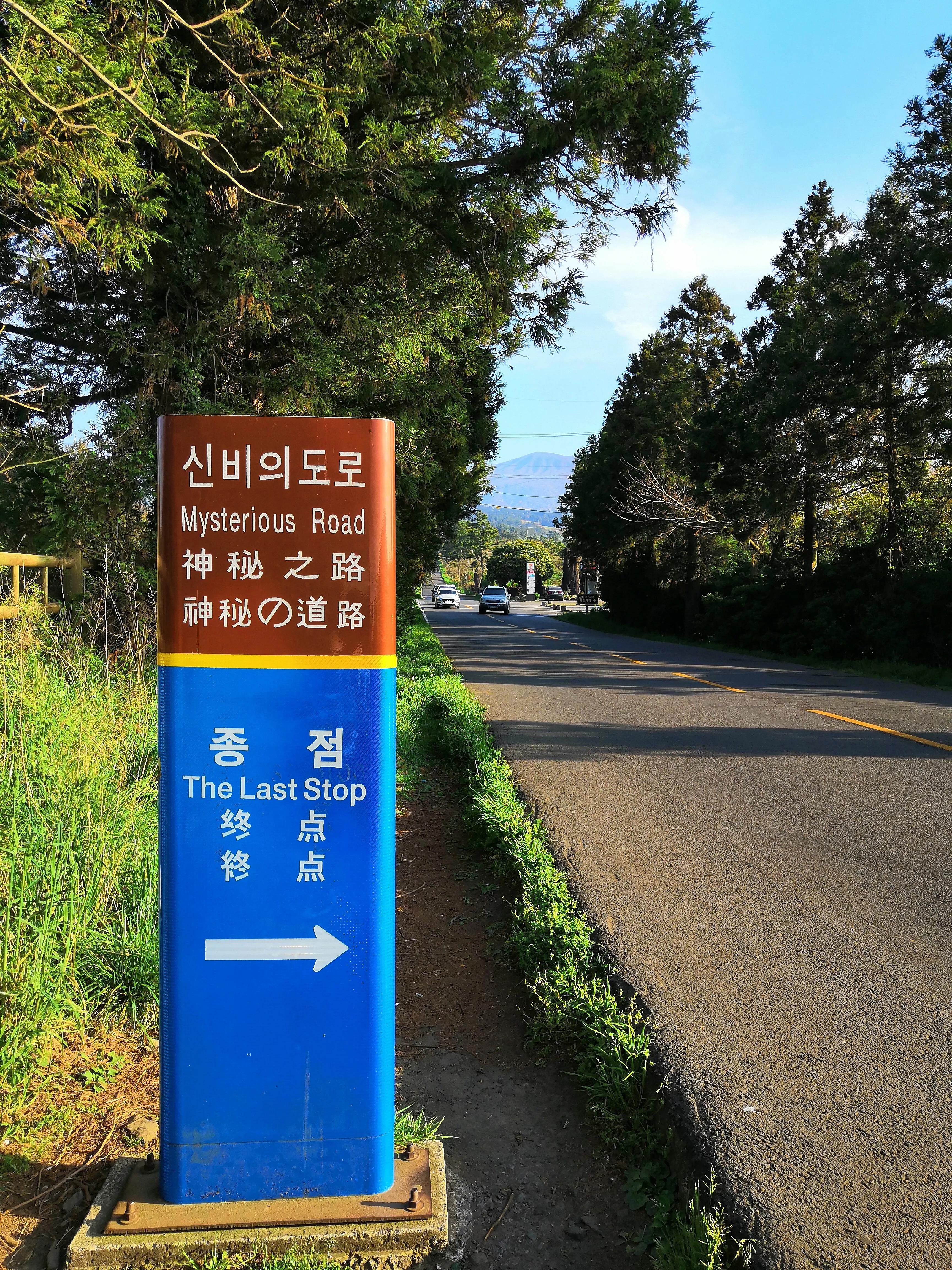 心血来潮去爬山,想去济州岛看海