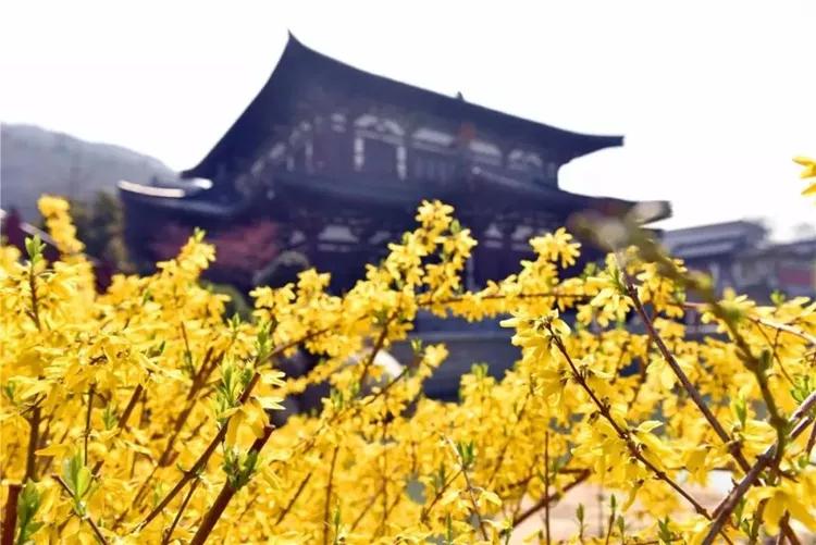 西安景区免票政策,西安市景点优惠政策元旦