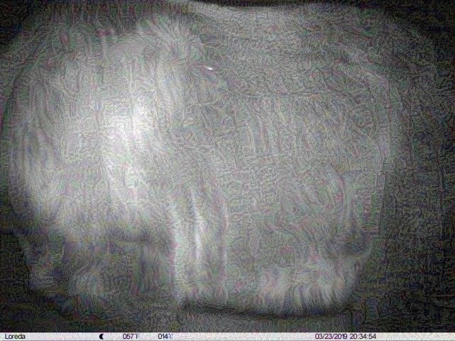 ai模型消除,ai模型报错