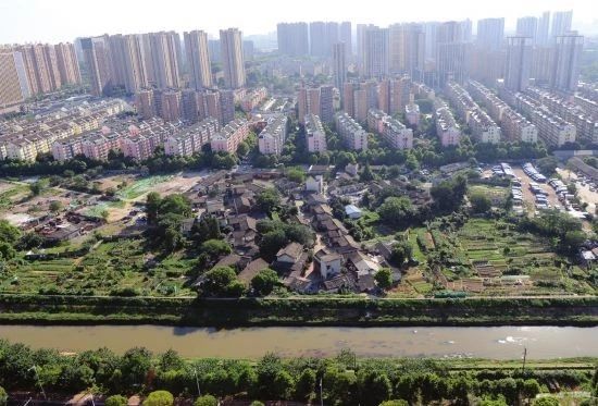 从臭水沟到打卡的经历,圭塘河臭水沟风光