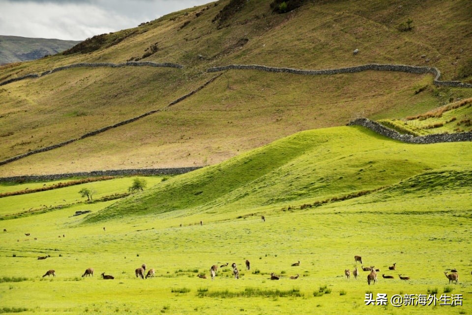 权力的游戏凛冬将至城堡出处,权力的游戏城堡取景地