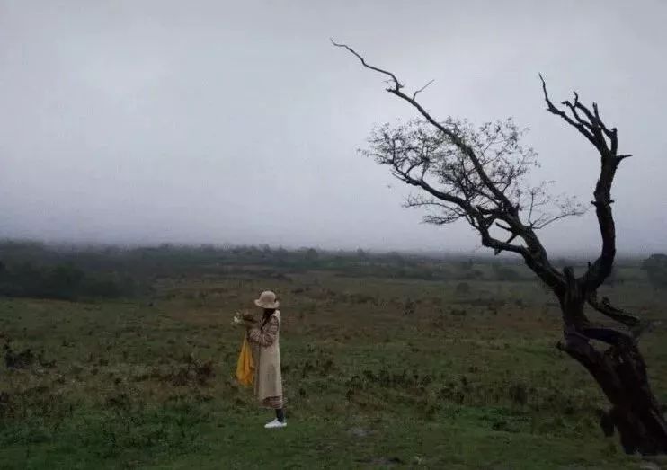 成都出发，一路向西的“旅行列车”年底开通！沿途好多……