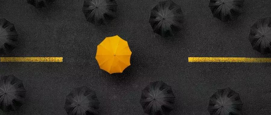 “我一无所有，不如折腾到底！”：创业，越无畏你死得越快