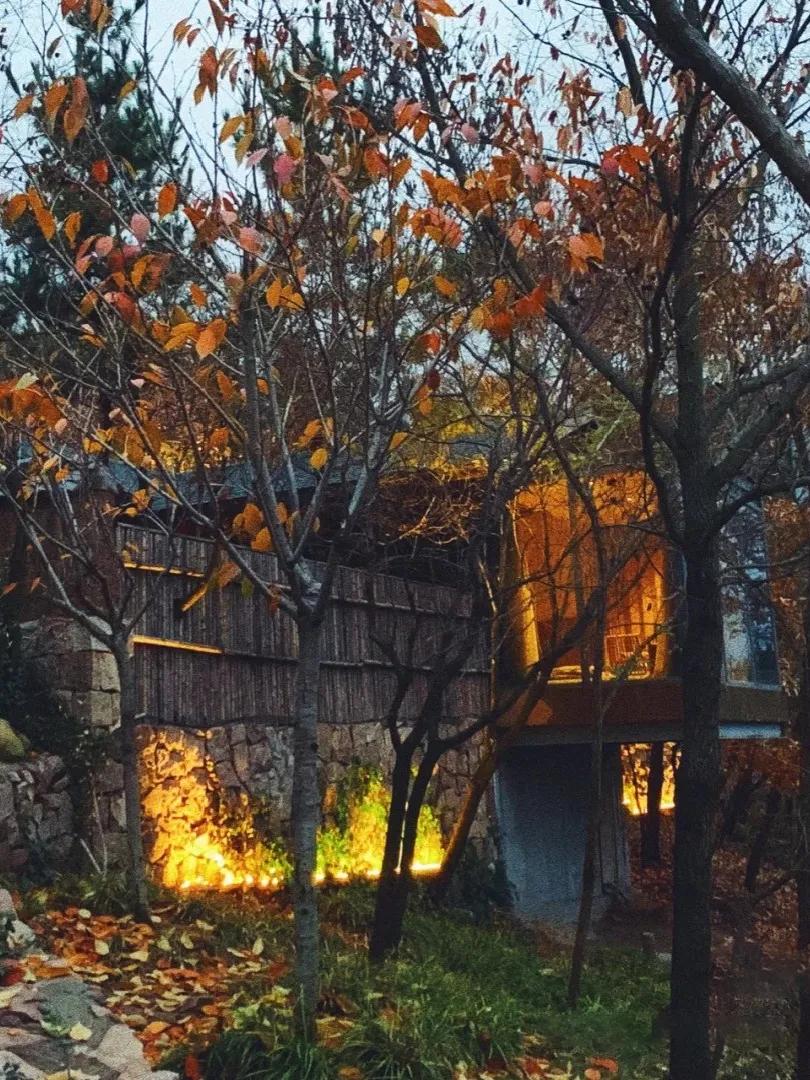 冬季的第一份温暖,冬天的第一份温暖是温泉