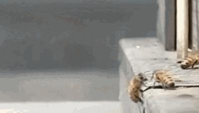 当画面全部慢下来的时候,当画面定格在一瞬间