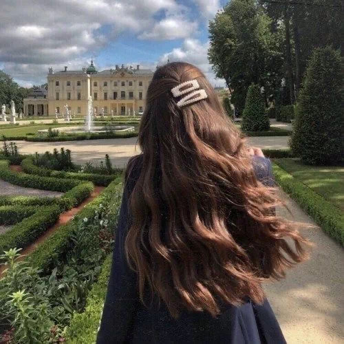 女士脱发救星,脱发护发宝典推荐