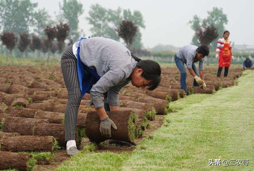 农民致富小本创业项目,适合30岁在家创业的小本生意