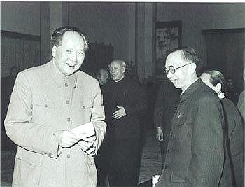 打不死的小强不倒翁,打不死的小强精神好吗