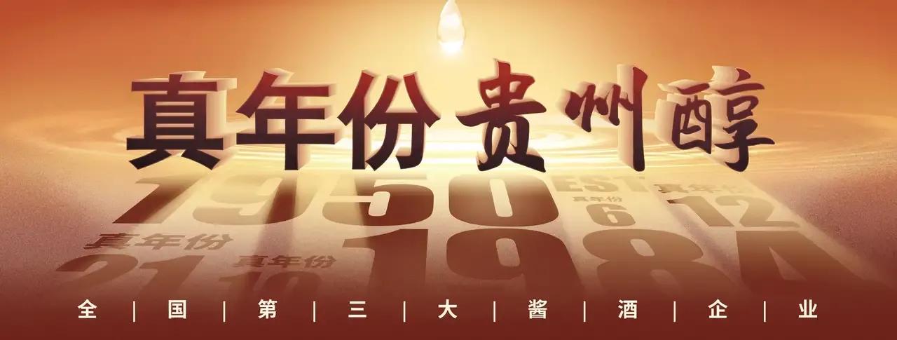 贵州金融城规划图,贵州东部新城规划