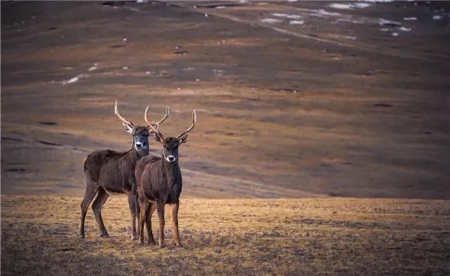 中国的阿尔卑斯秘境,被誉为东方的阿尔卑斯