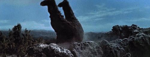 金刚和哥斯拉一起打怪兽,哥斯拉和金刚一起打谁