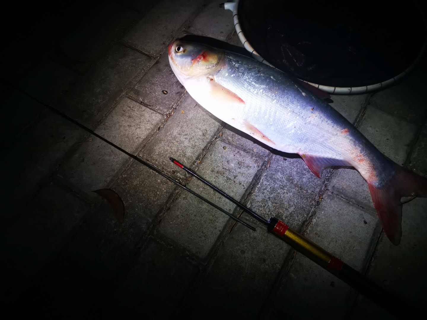 断竿稍的原因分析,如何避免野钓断竿爆竿问题