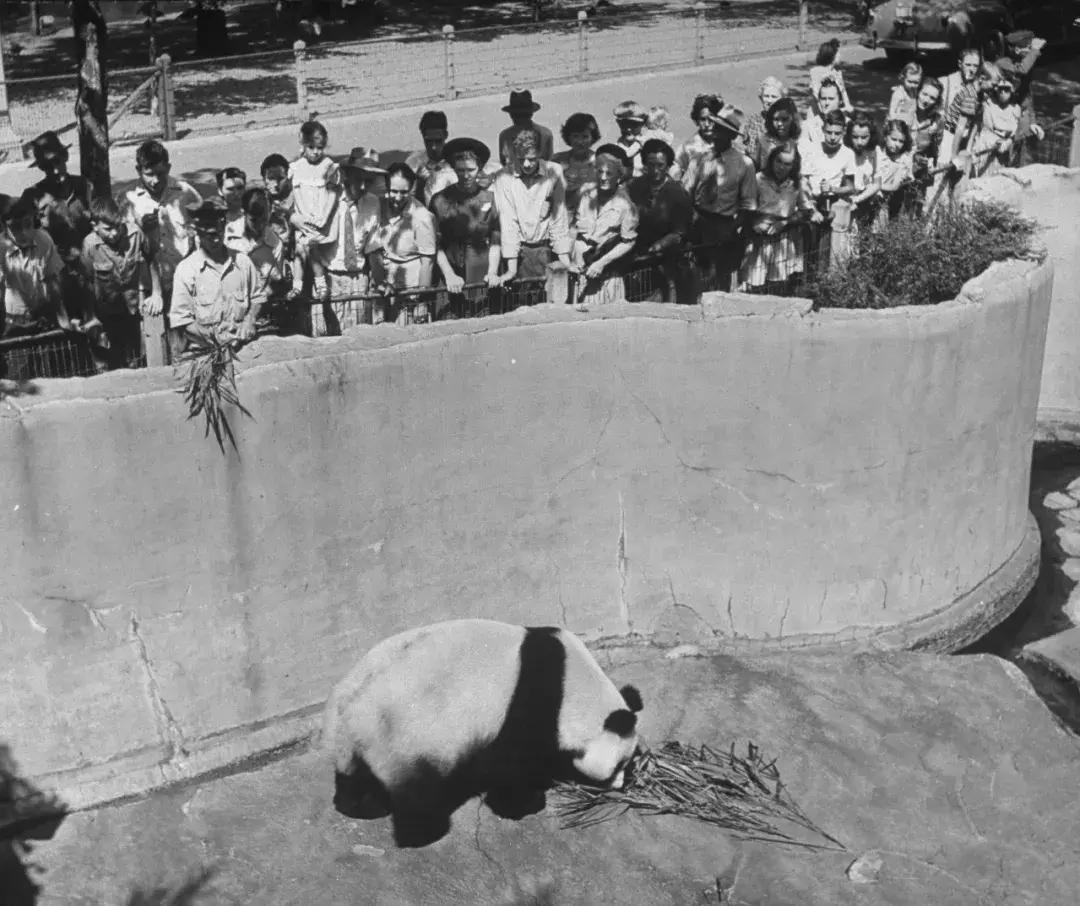 你才可爱你全家都可爱怎么回,你才可爱你全家都可爱出处