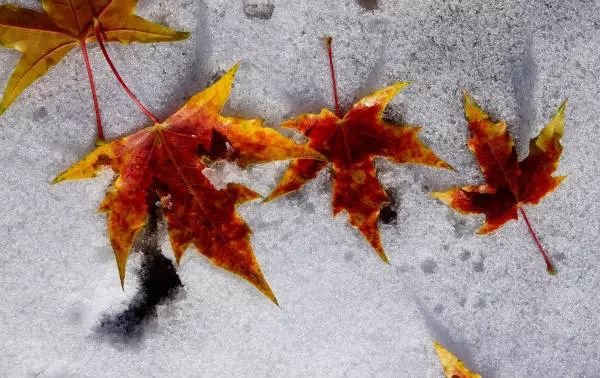看长沙下雪的景,长沙看雪最佳地方