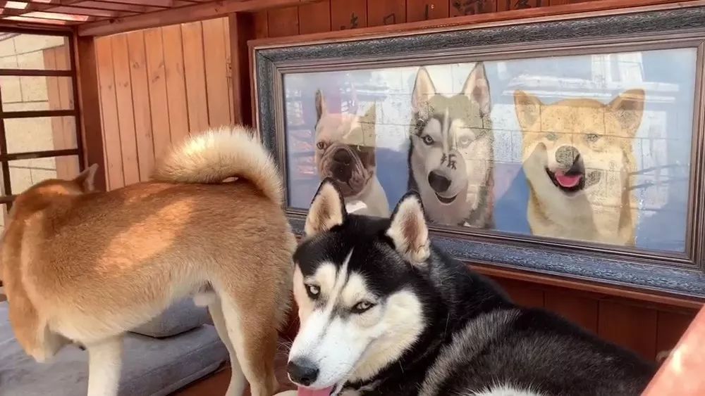 儿童房别墅装修带滑梯泳池秋千,城堡豪华别墅泳池