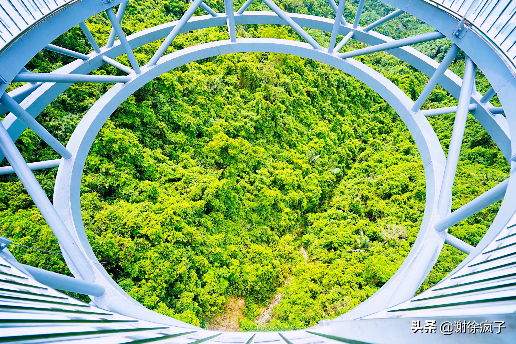 三亚呀诺达景区,三亚呀诺达热带森林公园位置