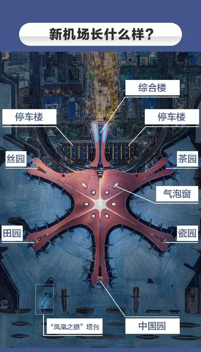 大兴机场为什么叫美食天堂,大兴机场网红美食