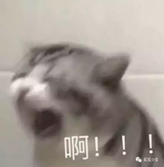 李佳琦：五款你一定要知道的口红