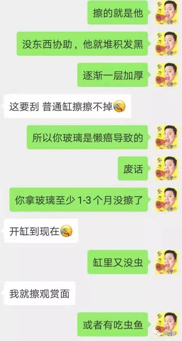 海水鱼缸里有很多虫,海水鱼缸为什么有绿藻