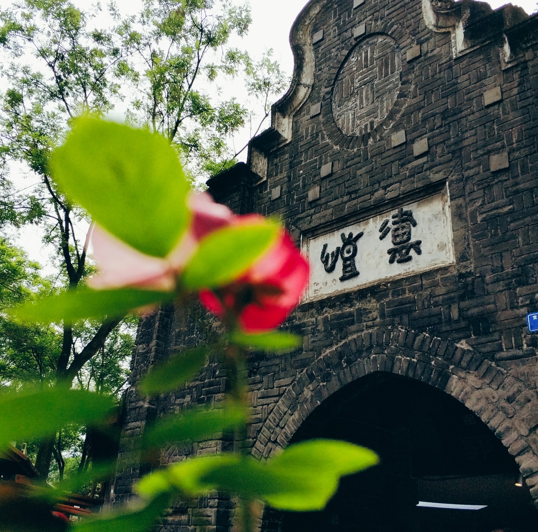 川藏线骑行从成都还是拉萨开始,318川藏线成都到拉萨骑行赛