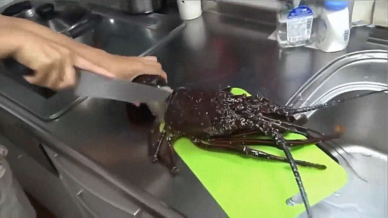 买一只大龙虾回来做麻辣大龙虾,500元买两只大龙虾做秘制小海鲜