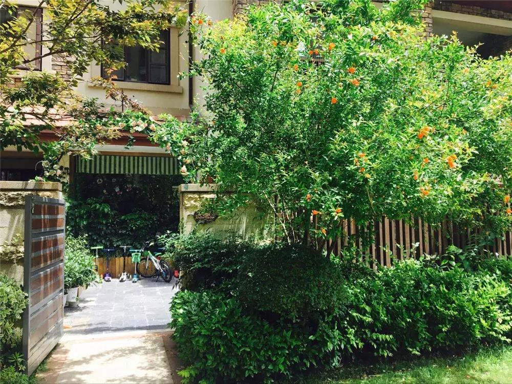 武汉市最贵的幼儿园,武汉最贵的私立幼儿园