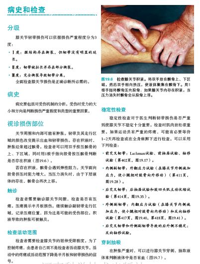 运动损伤的预防及处理小学生,运动损伤的预防与康复300字