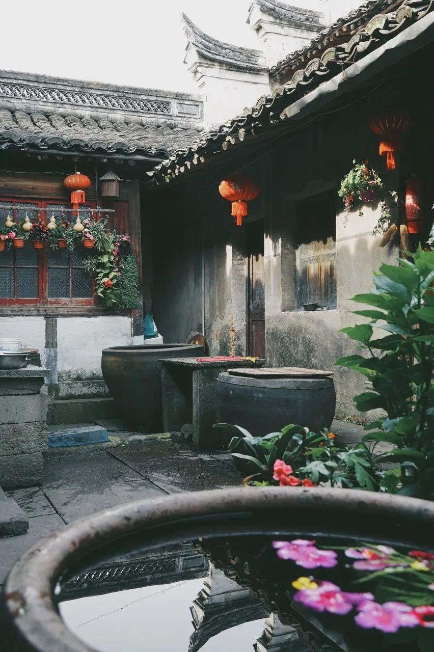 书藏古今港通天下,书藏古今港通天下央视