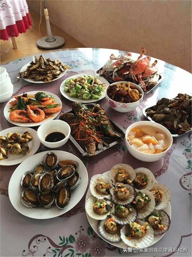 有这样的小岛，乐亭韩姐农家院，感受近距离的荷兰风情