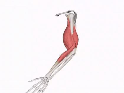 俯卧撑怎么发力手腕不受伤,俯卧撑手腕伤了怎么治