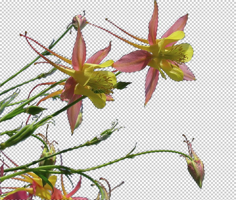 ps平面抠图教程图解,ps抠图如何互换衣服颜色