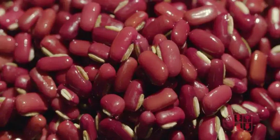 养道健康养生,入冬的第一碗养生汤为你准备好了