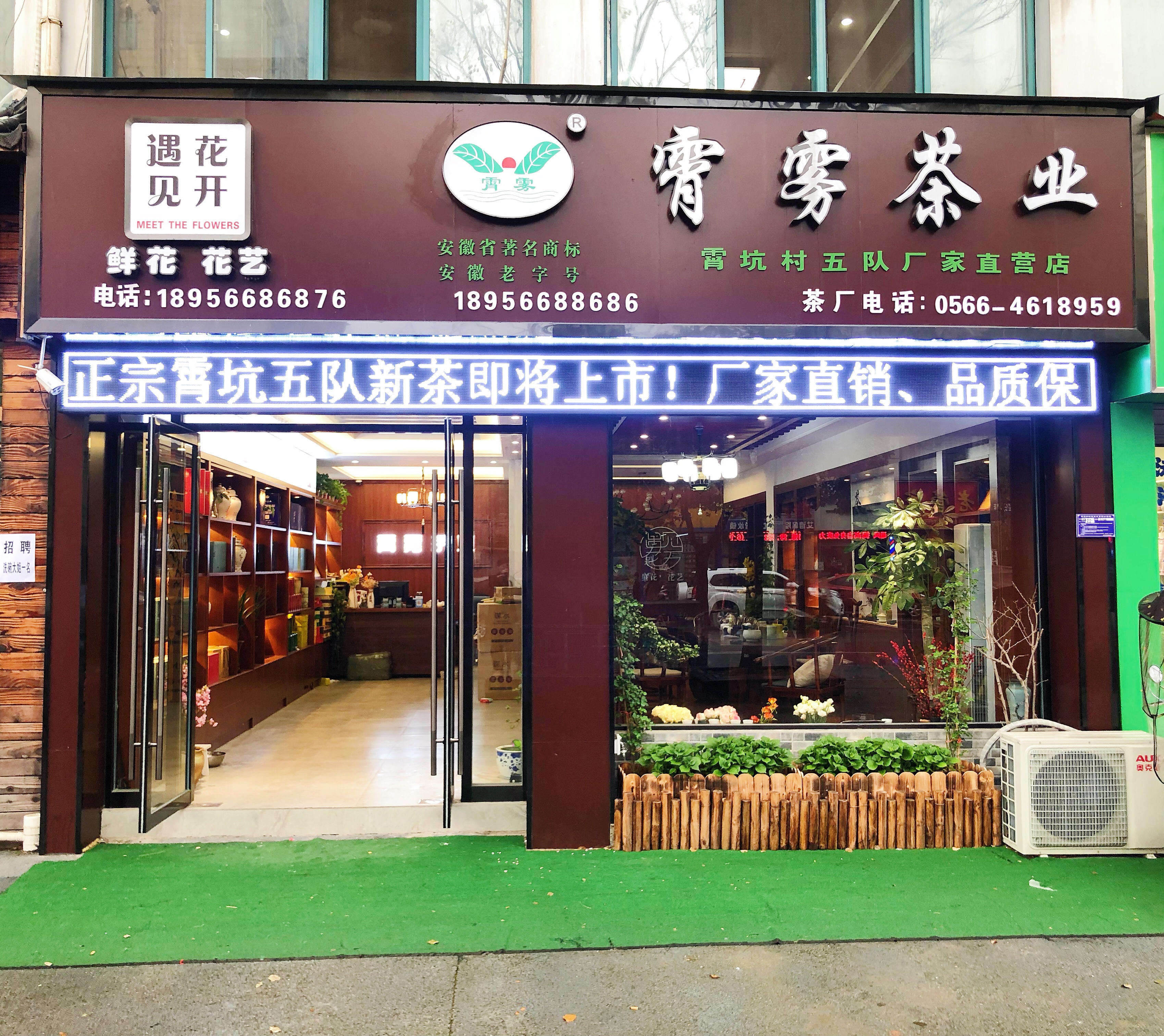 春茶上市今年的第1杯茶你喝了吗,春茶绿茶上市